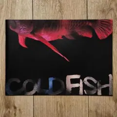 冷たい熱帯魚 パンフレット 園子温 COLD FISH 希少