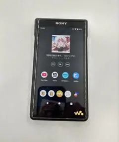 2026年最新】nw-wm1am2 sonyの人気アイテム - メルカリ