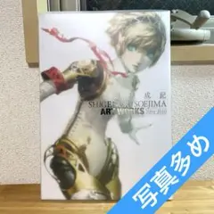 副島成記 ART WORKS 2004―2010 イラスト集 ペルソナ - メルカリ