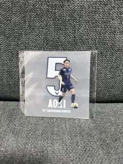 徳島ヴォルティス(青木選手)