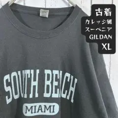 カレッジ風 スーベニア GILDAN マイアミ 古着 Tシャツ XL ブラック