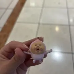 カクレモモジリ ハゲ