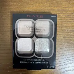 KATE ポッピングシルエットシャドウ BR-1