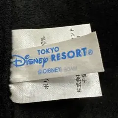 東京ディズニーリゾート ブランケット mickey ミッキー