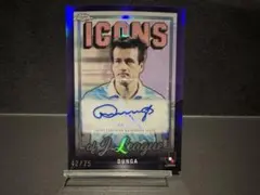 topps chrome jリーグ ドゥンガ 直筆サインカード 75シリ