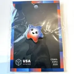 2026年最新】アメリカパビリオンピンバッジの人気アイテム - メルカリ