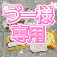づー様専用♡