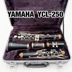 2025年最新】YAMAHA ycl-450の人気アイテム - メルカリ