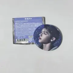 &TEAM 雪明かり POPUP 缶バッジ MAKI