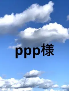 ppp様 リクエスト 3点 まとめ商品