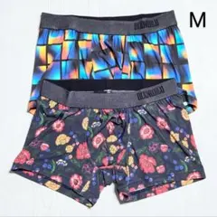 Item thumbnail for item 6302d932-67ed-4304-9fcd-e1702db06cb8