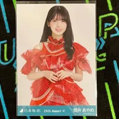 ひめたんの隠しミートボール様 リクエスト 2点 まとめ商品