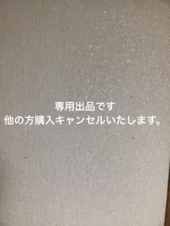 専用出品　幽遊白書　生写真4枚　缶バッジ