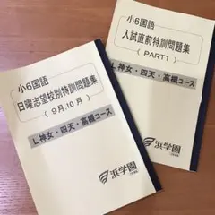 2025年最新】浜学園 小6 志望校別特訓問題集の人気アイテム - メルカリ
