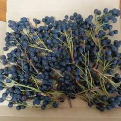 シャリンバイの実　10〜15cm40本前後　摘みたて〜半ドライ〜ドライ　ネコポス