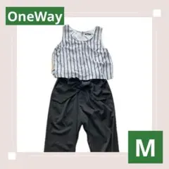 ワンウェイ　オールインワン　M ストライプのサムネイル