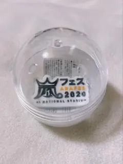 【即購入可】 嵐 2026 ガチャ マグネット アラフェス 2020