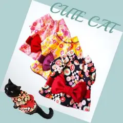 ECO＊各サイズお試し詳細【初回送料無料】猫服 ハンドメイド - メルカリ