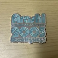 嵐 歴代ロゴマグネット How's it going?