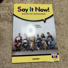 Say It Now! Grammar for Communication