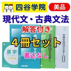 【解答付き・塾生限定】四谷学院 55段階 国語4冊セット 現代文・古典文法・漢字のサムネイル