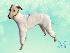 Item thumbnail for item f9fef39d-92e2-469c-9001-f26884c010e7