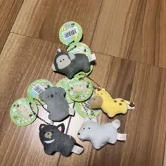 【即日発送】41種セット／つぶらな瞳の動物園　うぉんばっと　しまうま　らいおん つぶらな瞳の動物園 うぉんばっと - メルカリ