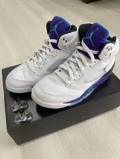 25cm 2025 エア ジョーダン 5 レトロ OG グレープ　新品