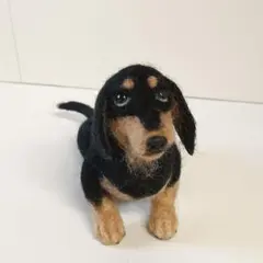 羊毛フェルト ミニチュア ダックスフンド　ブラック＆タン
