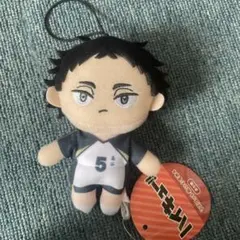 ハイキュー マスコットぬいぐるみ4 赤葦京治