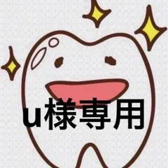 u様専用ページ 歯ブラシ P20M