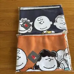 Item thumbnail for item ff813fff-5b64-4ca3-a97e-dcc11dcc0637