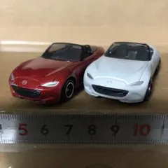 Item thumbnail for item 7322fe9c-e90f-476f-9df3-5a00ef899894