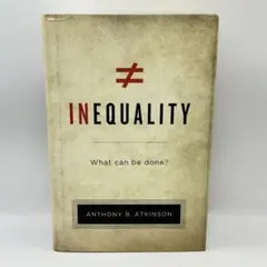 INEQUALITY What Can Be Done? 洋書