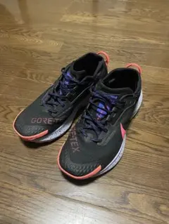 42580086_3