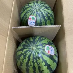 紅まくら 特大2玉入り 甘くて美味しい 19〜20Kg - メルカリ