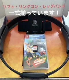 【外箱・付属品全て有】リングフィットアドベンチャー