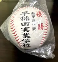 甲子園優勝、準優勝ボ-ル ☆2025JERAセ・リーグ優勝記念ロゴボール – 【期間限定】阪神甲子園