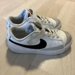 Item thumbnail for item 9f56f4af-989c-450e-8750-c4fb12849c81