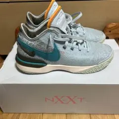 Zoom LeBron NXXT Gen EP Blue Tint