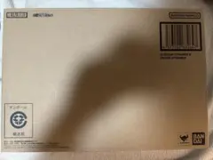 METAL BUILD ガンダムデュナメス＆デヴァイズデュナメス