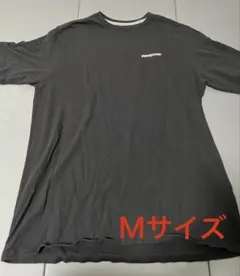 パタゴニア　Patagonia　Tシャツ　バックプリント