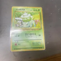 2026年最新】やどりぎのタネの人気アイテム - メルカリ
