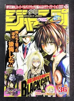 週刊少年ジャンプ 2004年1号 新連載 巻頭カラー DEATH NOTE - メルカリ