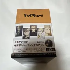 ハイキュー！！　月島がいっぱい場面写トレーディング缶バッジ　1BOX