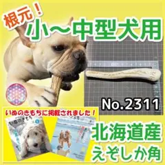 2026年最新】鹿の角の人気アイテム - メルカリ