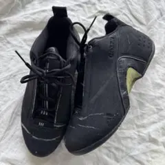箱付き 希少 00s (2003) adidas CHROMIUM ⅱ 28.5のサムネイル