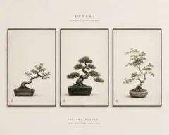 BONSAI ART COLLECTION アートポスター 3枚セットのサムネイル