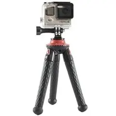 Item thumbnail for item 1c76c829-273f-4452-8c6b-efaf2f26693c