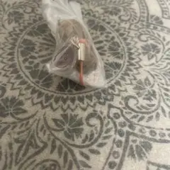 おぱんちゅ 우사기 トイプードル